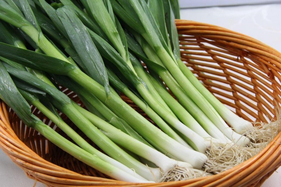 厨师长教你做正宗回锅肉,肥而不腻,特别下饭,看一遍就能学会