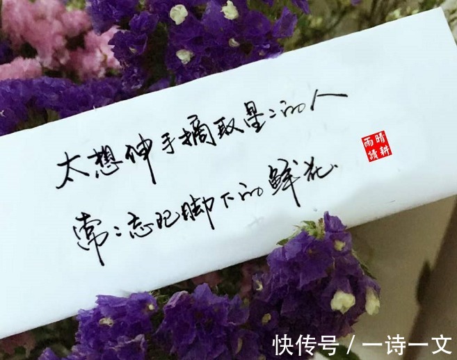 风雨|一草一木,都是人间风雨