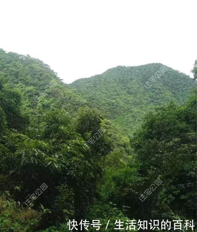 现代|晒我的农村养老房，100万盖最美现代别墅，比城里住着舒服多了！