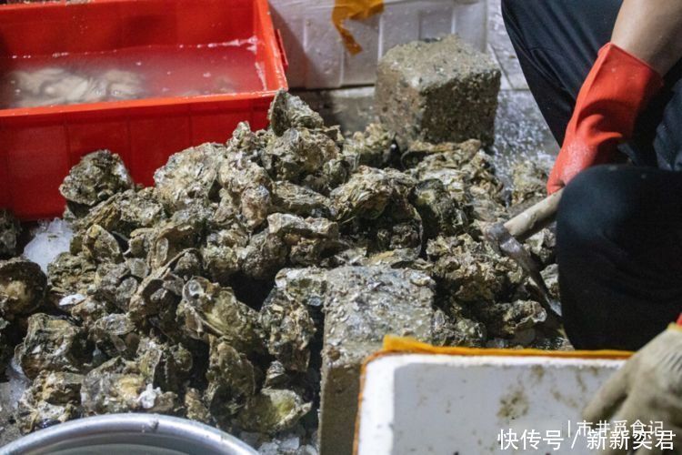  蚝油不是“万能提鲜油”，牢记“3不用3不吃”，做菜别再用错了