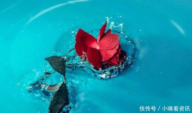 真正的有缘人,是分不开的