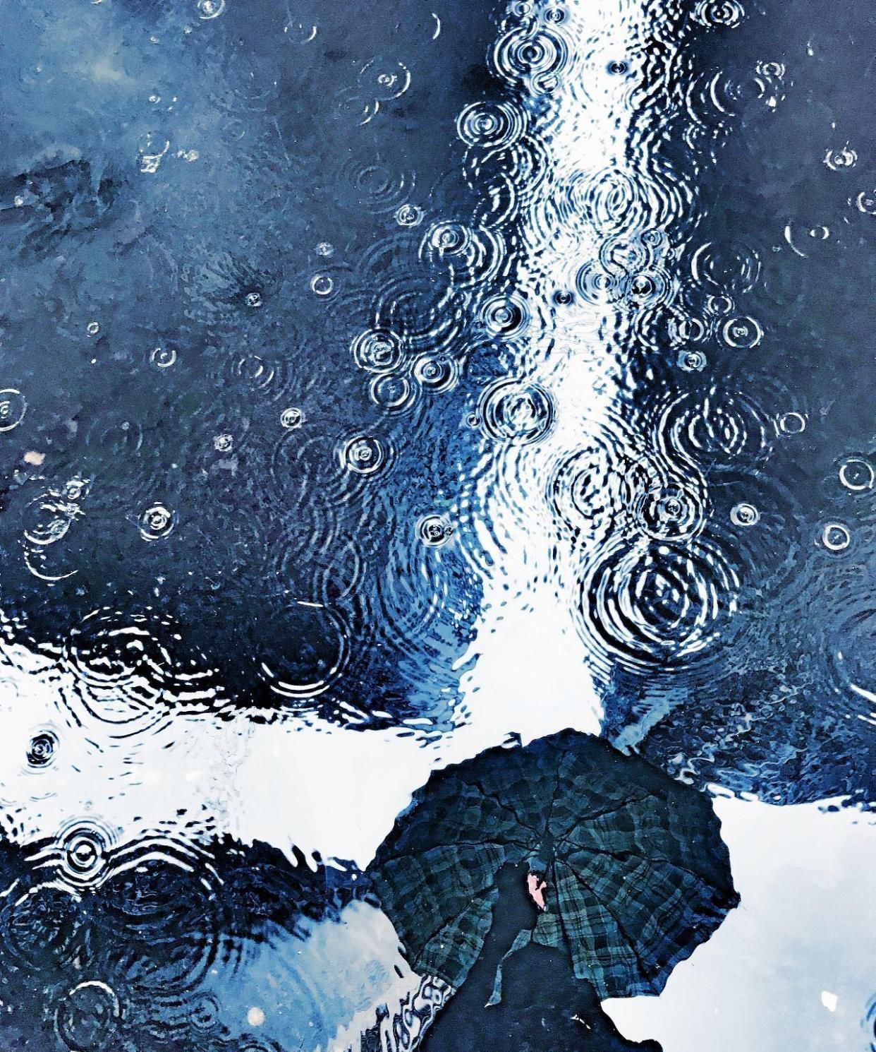 雨滴|一场春雨一场暖,春雨怎么拍才有味这些作品给你灵感