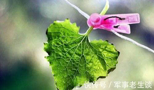 吴倩|“月子仇”其实不难化解,真正让儿媳记恨的,是婆婆的这三种行为