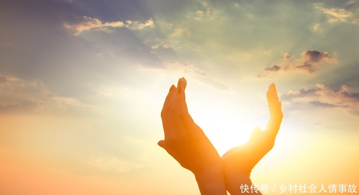 海海|惹董卿落泪,莫言、高晓松、杨洋力荐:《人生海海》带你看尽人性