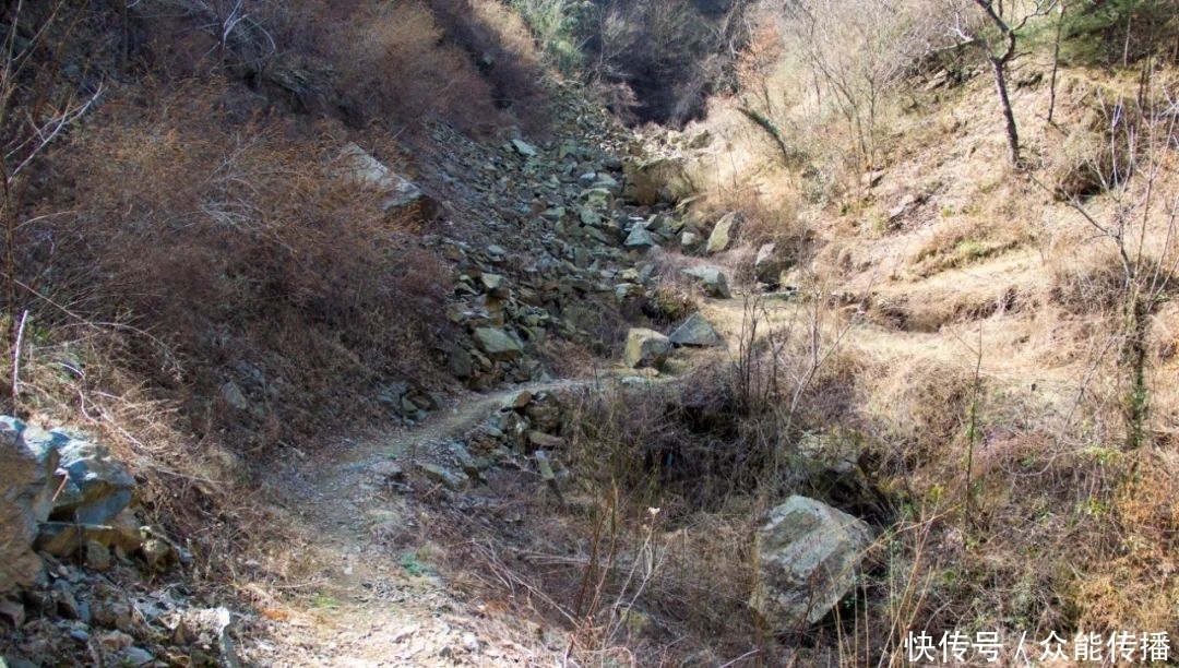 有点让人想不到，秦岭这个山顶上，竟然还住着一户人家，也太苦了