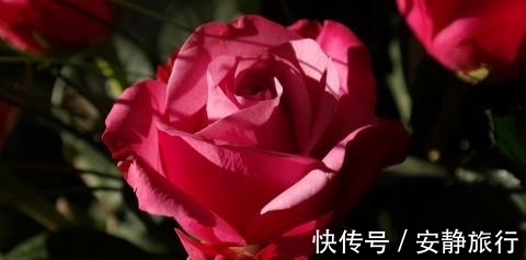 生肖龙生肖龙|9月，开个好头，鸿运天赐，喜事相连，3生肖好运相随