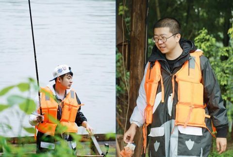 杨紫|《向往5》小算盘落空，杨紫离开节目后，老友记播放次数直线下降