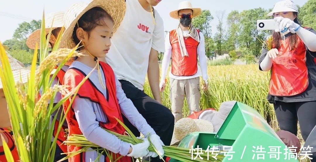 文化節(jié)|帶著孩子來(lái)割稻啦！還有稻田音樂(lè)季、美食市集和露營(yíng)活動(dòng)~