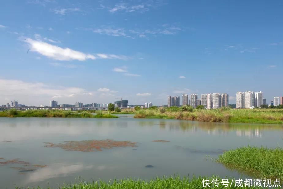 城市|观音湖生态湿地公园，都市里的世外桃源