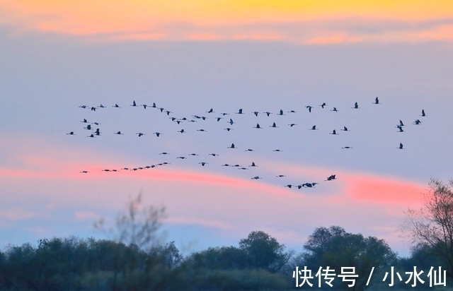 城府|这几个星座“心机重，城府深”，却不屑于算计他人，一生坦坦荡荡