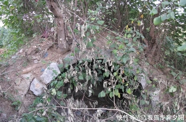 避雨|农民干活时天降大雨,躲菜园子避雨,无意发现古墓,内有五彩舍利