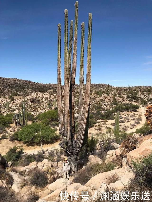 25张不可思议的对比图,你可能一张都没见过!