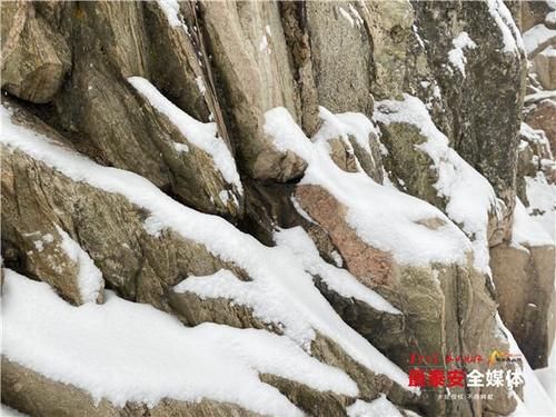 下雪|泰山又下雪啦！青山原不老，为雪而白头