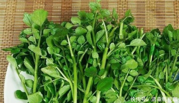 补充营养|聪明的人都在吃3种食物,补充营养、延缓衰老,早吃早好!