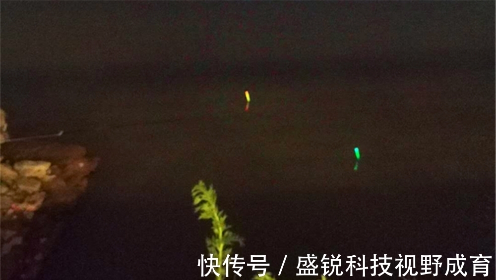 钓浮|盛夏夜钓草鱼,钓近还是钓远?钓浮还是钓底?有几个建议可以参考