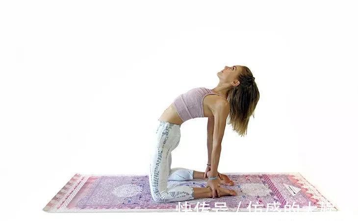 轮式|解锁瑜伽轮式并不难，先将这套序列练上半个月