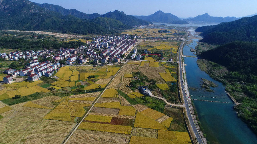 横渡镇|清水碧波泛涟漪 三门白溪变身文旅“景观带”