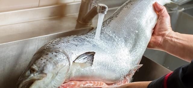 重金属|这些鱼已被拉入“黑名单”，最好别给孩子吃，希望你别在吃上犯错