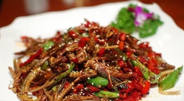 中国|曾经中国的“祸害”成为下酒菜,如今取代小龙虾成为“宵夜之王”