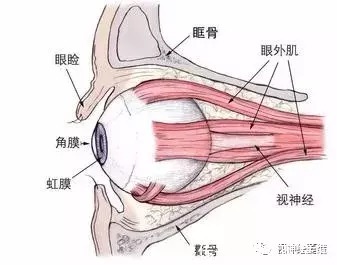 糖尿病|不要忽视糖尿病情况出现的眼底病变