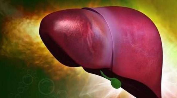 脾脏|它是“补精”的中药一味补三脏,老中医时常用