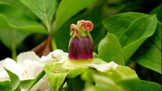 大人的"护肤品":宝宝的”营养餐“