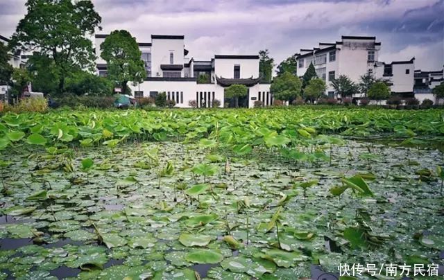 松鼠|黄山一座由夫妇两人在徽州打造徽派古居民宿，超大泳池丨清溪涵月