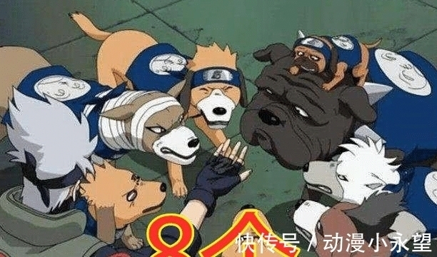 鸣人|火影:谁的通灵兽最多?卡卡西:8个,自来也:11个,他:都让让