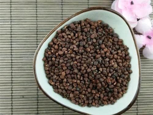 “马兰花马兰花，风吹雨打都不怕”，童谣马兰花究竟是什么花？