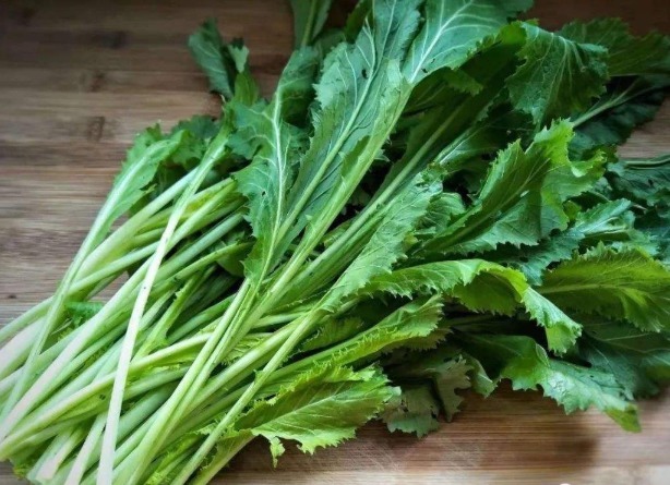 粽子|糖尿病并非怕甜,这3物才是隐形糖王,不忌口胰岛素再多也白费