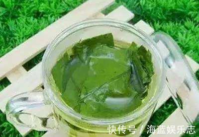 荷葉水|辟謠減肥人常用荷葉泡水喝，可以刮脂瘦身15內能瘦好幾斤