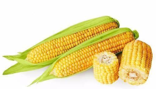 常吃玉米|每天坚持吃个玉米,一段时间后,可能这3个好处“不请自来”