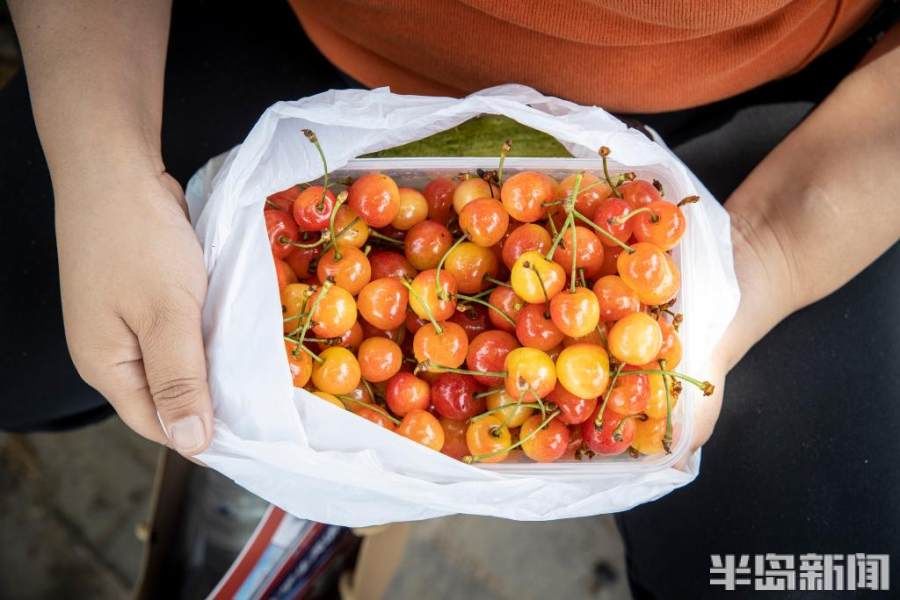 海珊|考点外的午餐、家长的背包，满满全是爱！