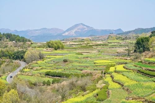 宁波有个古村落，高山梯田油菜花开得正艳，是春天赏花的好去处