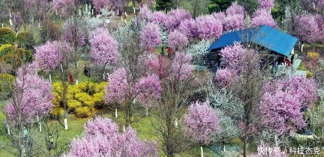 大明宫国家遗址公园航拍大片来袭！你心动了吗？