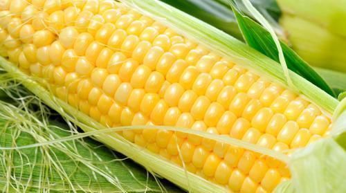 玉米|脂肪最怕的3种食物,刮油清脂,润肠通便,经常吃点,吃出好身材