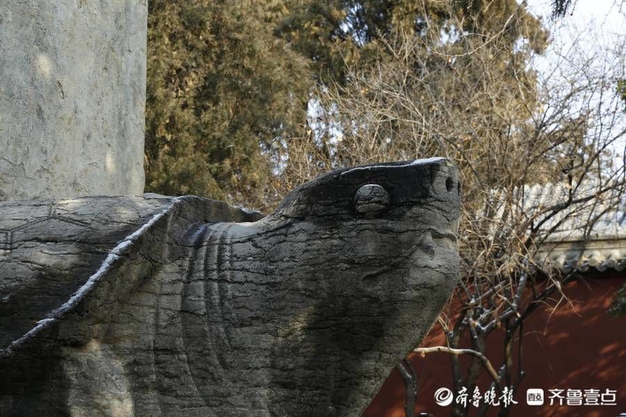 汉柏|壹图集｜2021年12月24日，雪后泰安岱庙，红墙金瓦映白雪