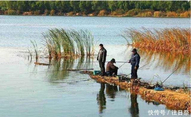 至,农谚寒露过三朝,迟早一齐标啥意思?