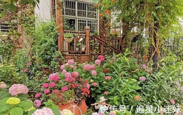 优雅|有了30平方的小院,能将日子过成了诗简单而精致,优雅而从容