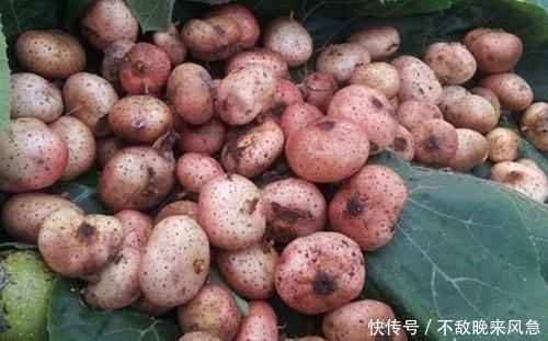 保护|女人常吃此物,保护卵巢,子宫越来越健康!看见一定要摘回家!