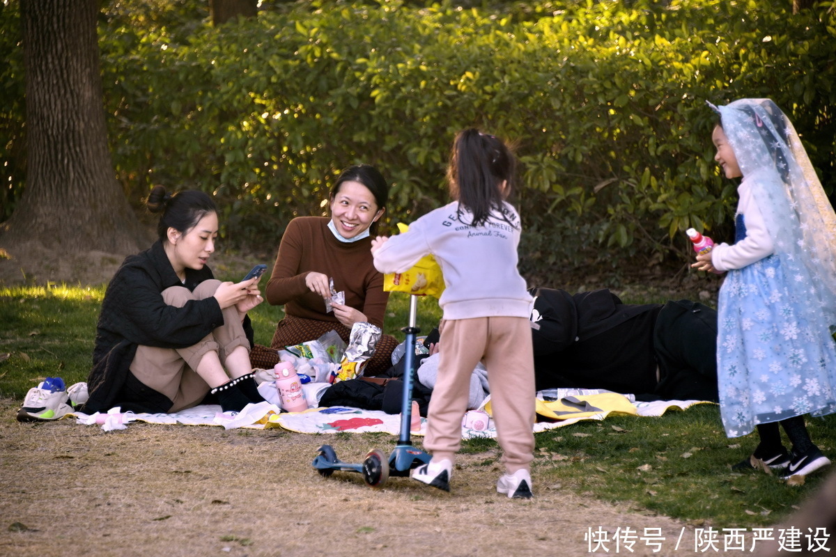 老年|新虹口花园的玉兰花开了【严建设】