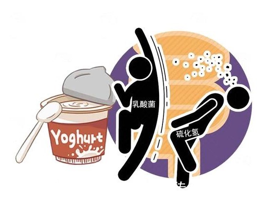 垃圾|5种食物是肠道的“保护伞”，没事敞开吃，清理肠道“垃圾”