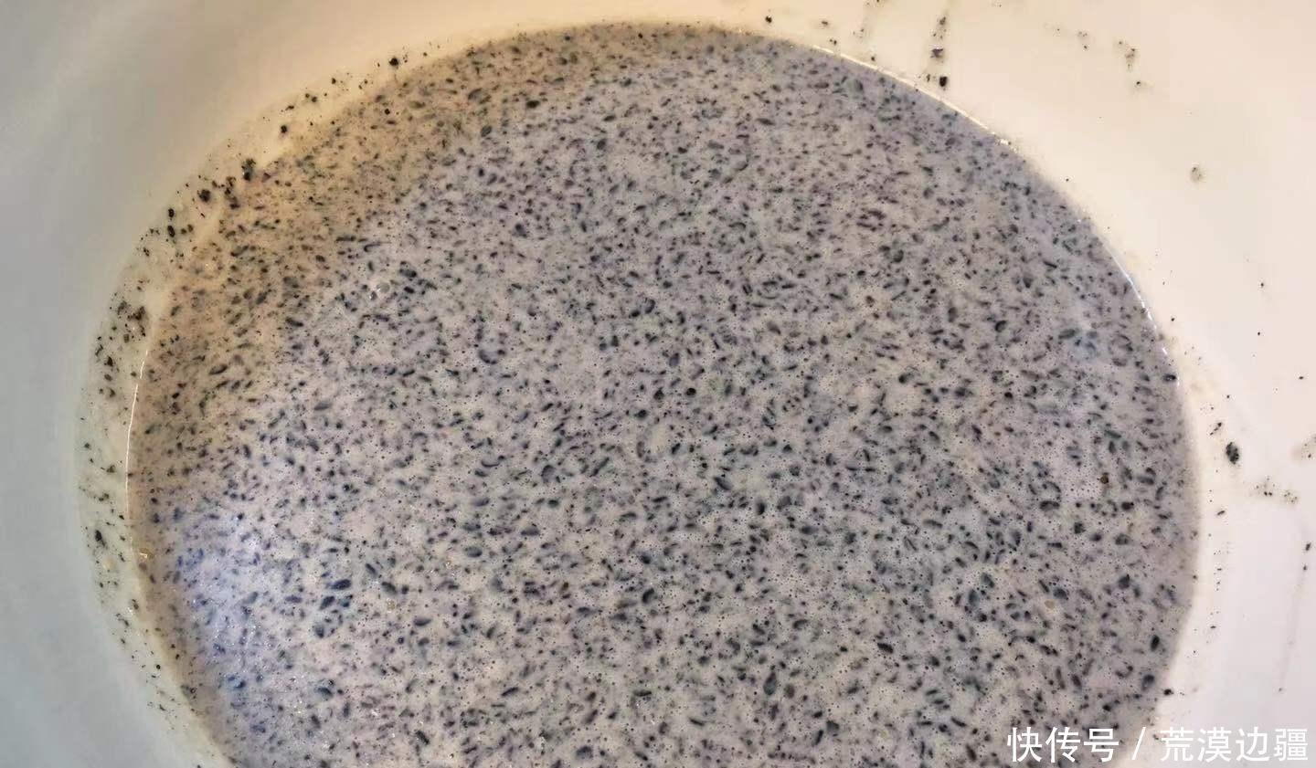 女人记得要多吃它，软糯香甜，补气补血，一觉睡到天亮