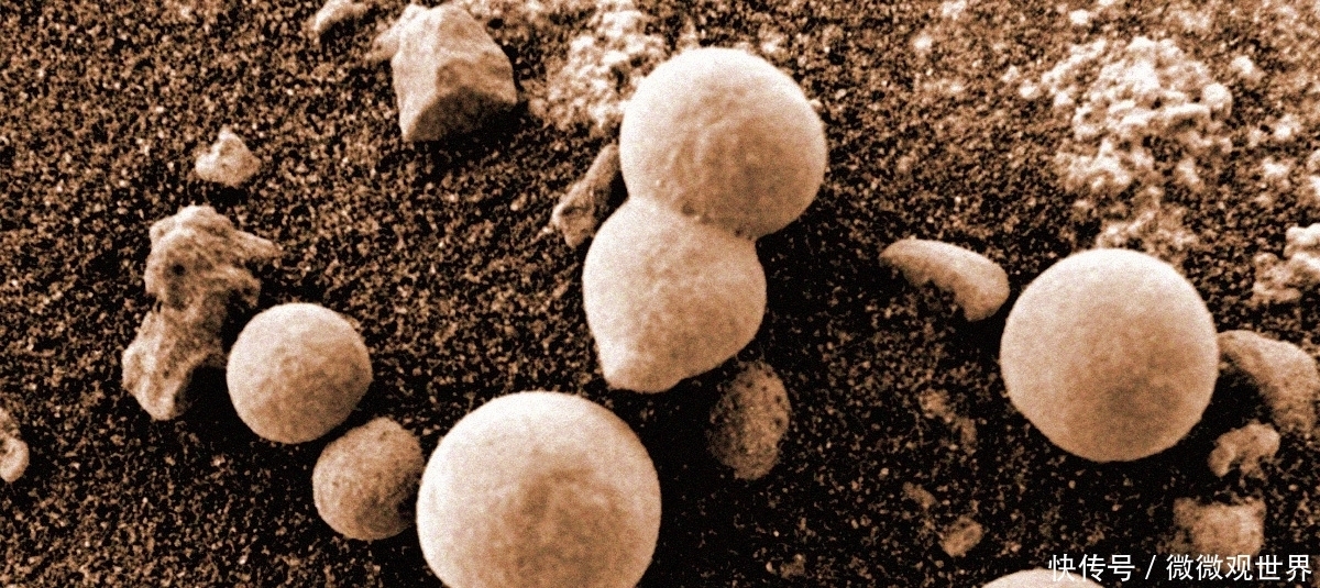 生命 科学家官宣!疑似发现火星蘑菇,我们离外星生命近了吗?