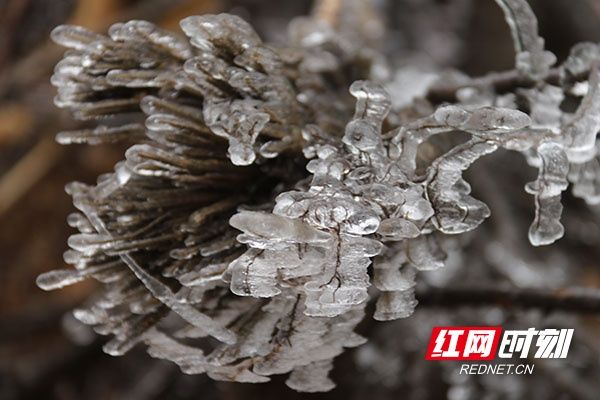 瑶乡|湖南道县：瑶乡瑞雪迎新春