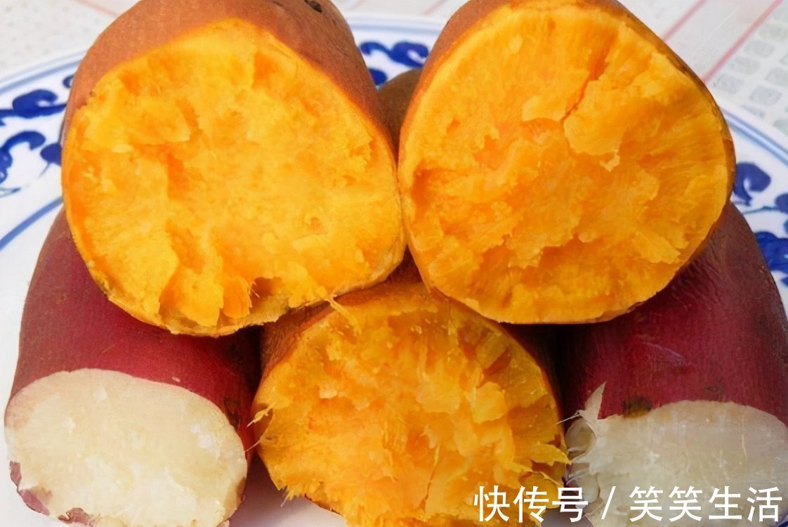 天冷钓鲤鱼，饵料就该这么整，鱼情好到不想走