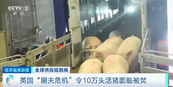 供应链|太突然!价格暴涨近600%