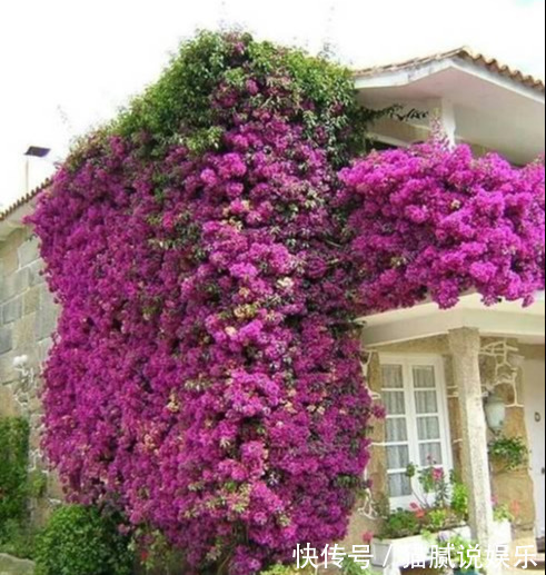 这9种花园，随便1个都美上天了，有一种这辈子就满足了！