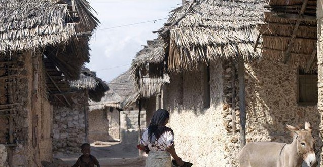 非洲#非洲挖出中国墓葬,当地人还自称中国人的后代,学者道出真相!