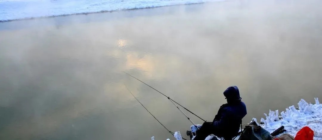 冬季钓鲫鱼,为什么鱼情差?这5个常识性的错误,总有一款适合你